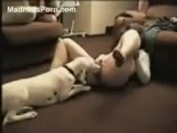 Obedient dog can&#039;t live without licking its mistress&#039; slit
